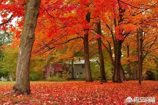 “人生如梦,岁月无情”怎么写藏头诗?