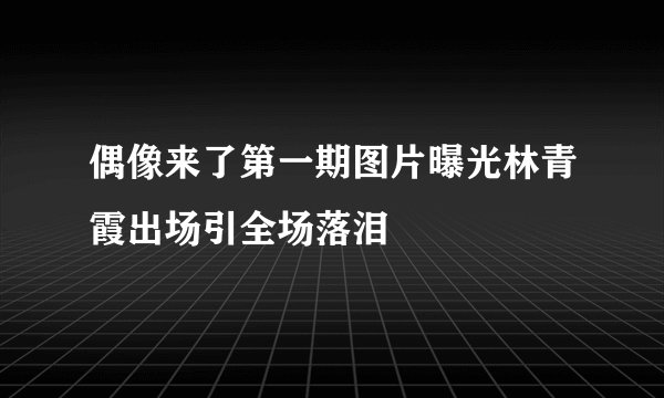 偶像来了第一期图片曝光林青霞出场引全场落泪