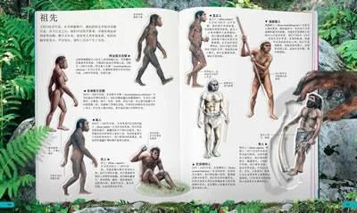 孕育知识百科全书的介绍