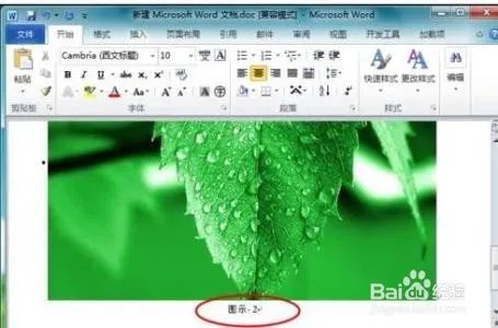 word2010教程大全