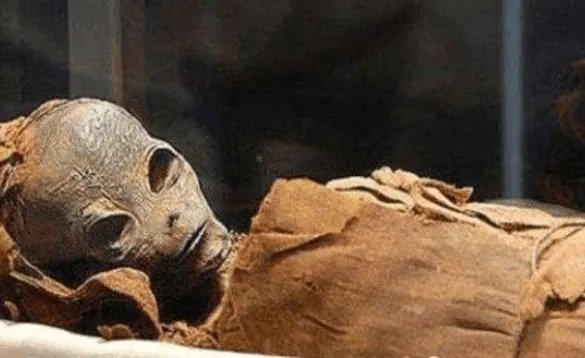 埃及金字塔中真的发现外星人木乃伊吗？