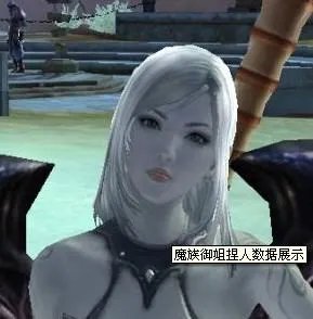 永恒之塔天族建号时候的女战士的捏人数据谁有？求