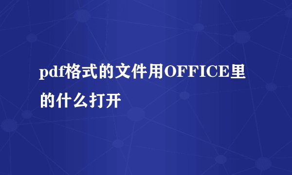 pdf格式的文件用OFFICE里的什么打开