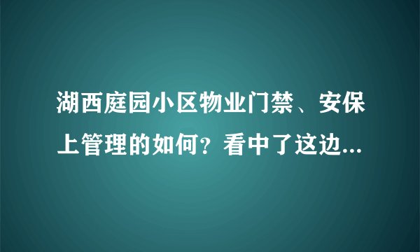 湖西庭园小区物业门禁、安保上管理的如何？看中了这边的房子，担心给老人住的话会不会不安全？