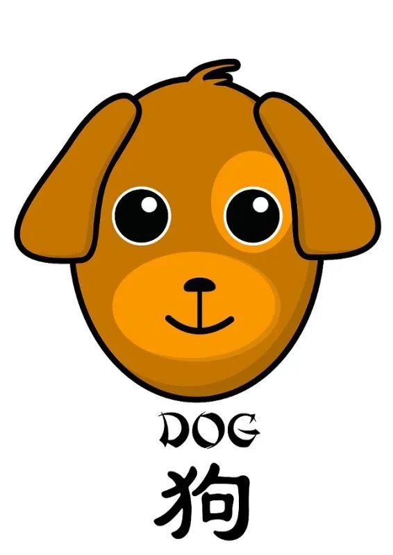 为什么十二生肖中没有猫