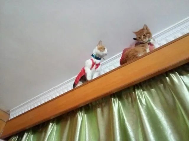 中国人为什么重视姓氏传承