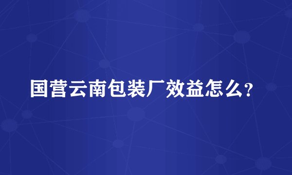 国营云南包装厂效益怎么？
