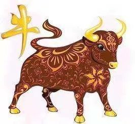 旺气冲天吉运不断的生肖有哪些？