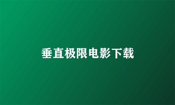 垂直极限电影下载