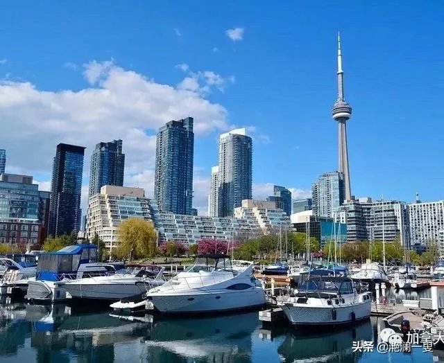 加拿大是一个什么类型的国家，为什么感觉在新闻上经常看不到？