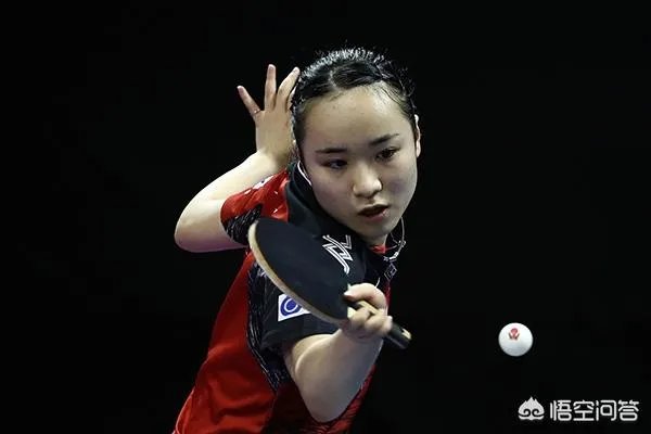 2019卡塔尔公开赛名单