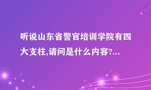 听说山东省警官培训学院有四大支柱,请问是什么内容?发展前景如何