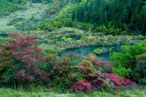 九寨沟旅游自助旅游全攻略