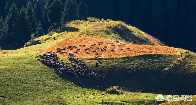 国内有哪些地方被誉为是“摄影人的天堂”？