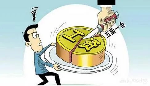 大学教授亮工资条是怎么回事？