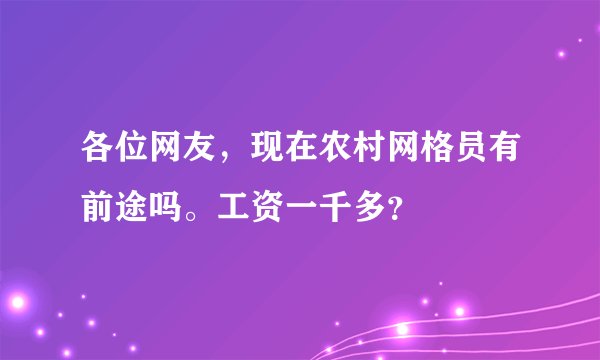 各位网友，现在农村网格员有前途吗。工资一千多？