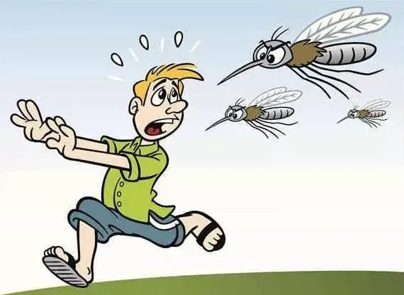 “全面消灭蚊子”的提议是否可行？以如今技术，能否将蚊子灭绝？