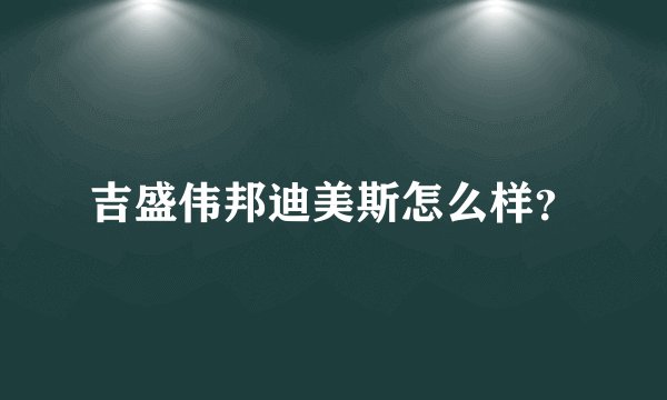 吉盛伟邦迪美斯怎么样？