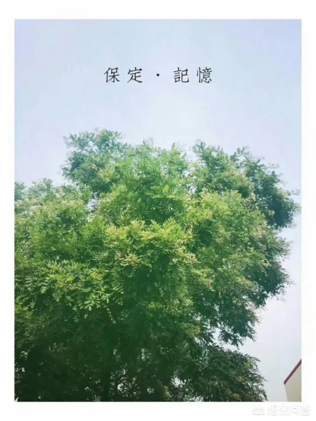 保定人去万博都玩什么？