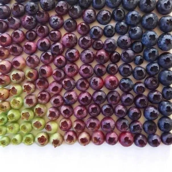 明星都代言过哪些奇葩东西?