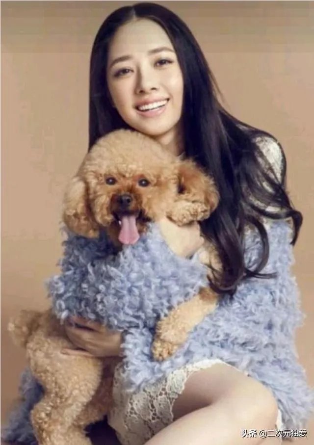 为什么有人说郭碧婷不喜欢向佐？