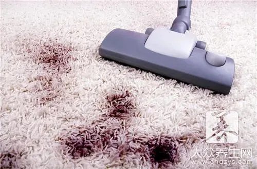 家里发现白蚁怎么办