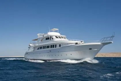 春天出生五行缺什么,2022虎年生的宝宝起名大全