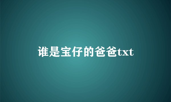 谁是宝仔的爸爸txt