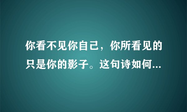 你看不见你自己，你所看见的只是你的影子。这句诗如何理解呢？谢谢
