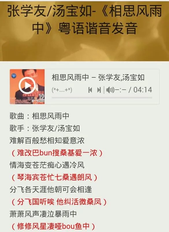 求《相思风雨中》粤语歌词的普通话标音