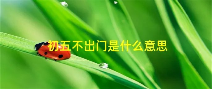 初五不出门是什么意思
