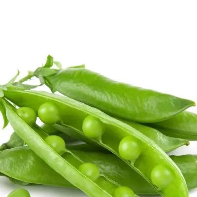 神经症的治疗方法 