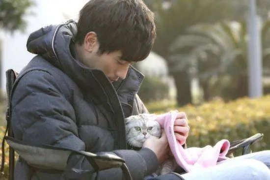 为什么演艺圈很少人为高以翔发声？