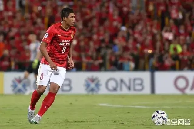 马达洛尼前景如何