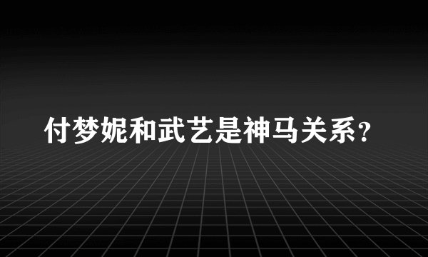 付梦妮和武艺是神马关系？