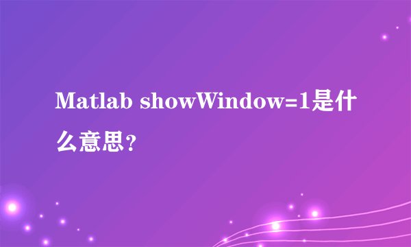 Matlab showWindow=1是什么意思？