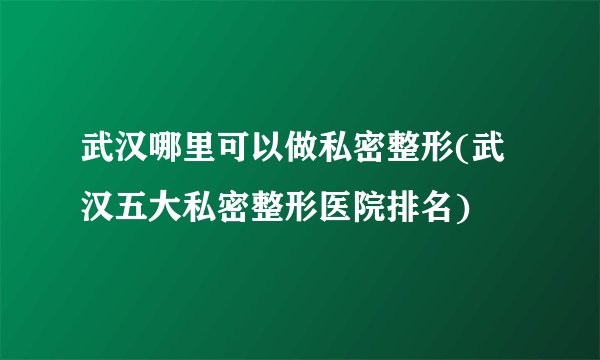 武汉哪里可以做私密整形(武汉五大私密整形医院排名)