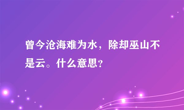 曾今沧海难为水，除却巫山不是云。什么意思？