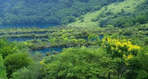 九寨沟旅游自助旅游全攻略