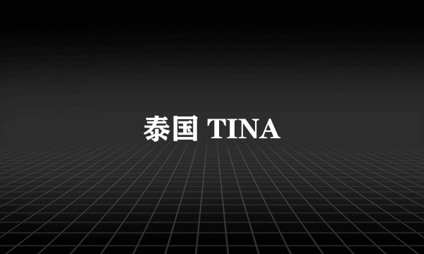 泰国 TINA