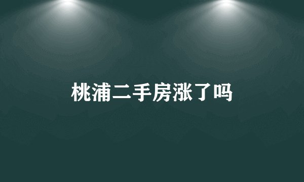 桃浦二手房涨了吗