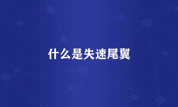 什么是失速尾翼