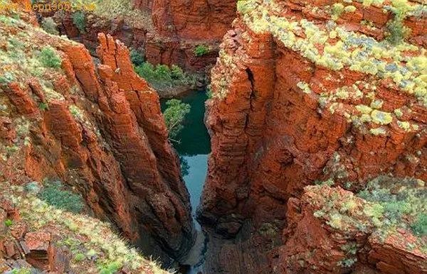 想象一下未来人类会进化成什么样子？