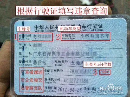 网上如何查询交通违章并交罚款？（深圳）