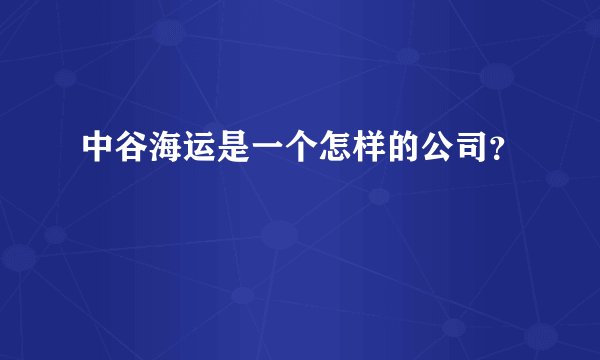 中谷海运是一个怎样的公司？