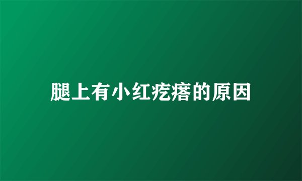 腿上有小红疙瘩的原因