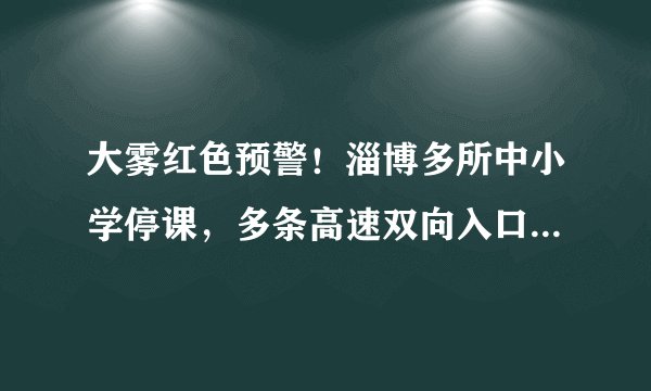 大雾红色预警！淄博多所中小学停课，多条高速双向入口临时关闭, 你怎么看？