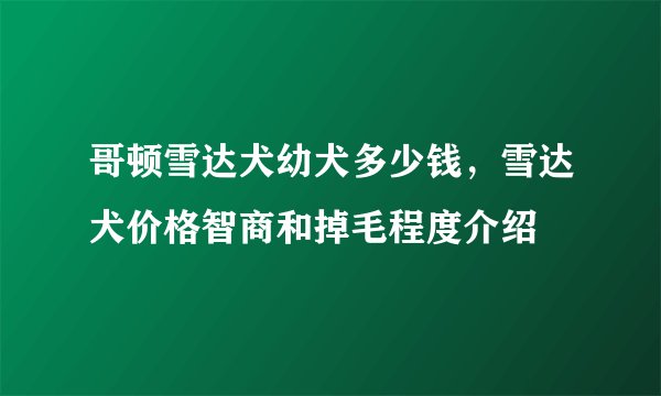 哥顿雪达犬幼犬多少钱，雪达犬价格智商和掉毛程度介绍