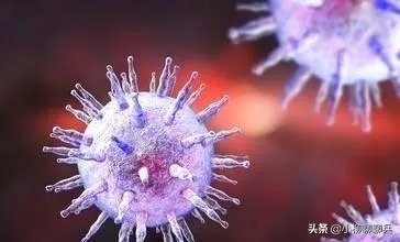 如何看美新闻媒体要求政府就解散和关闭德特里克堡进行全面解释呢？