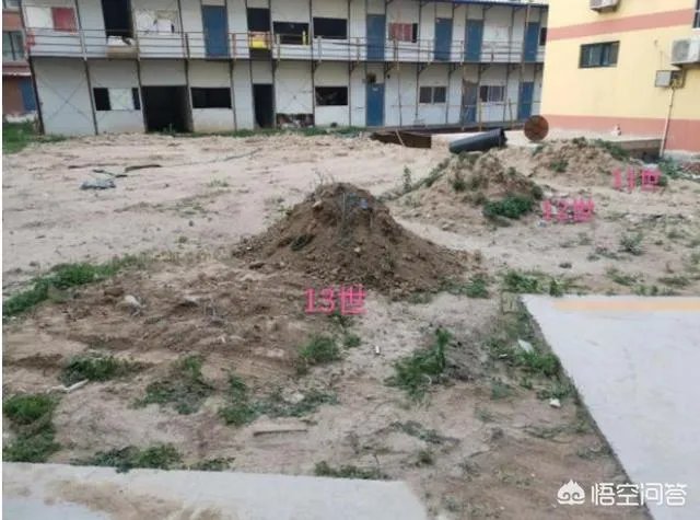 祖坟遗骨被抛洒，78位村民状告开发商索赔410万，怎么回事？